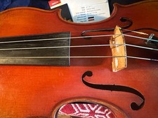 Eastman vl703 frederich for sale  Sarasota