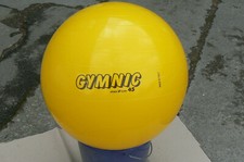 Ledraplastic sitzball gymnic gebraucht kaufen  Lörrach