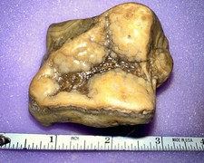 Illinois agate 3.35 for sale  Thebes