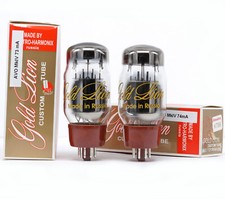 Coppia abbinata kt66 usato  Milano