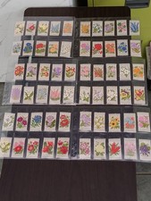 kensitas flowers for sale  CALLINGTON