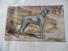Gravures chiens chasse d'occasion  Combs-la-Ville