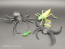 Large insects spiders for sale  KIDDERMINSTER