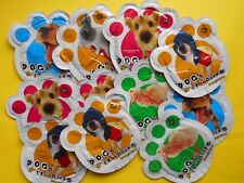 Lotto bustine dog usato  Aprilia