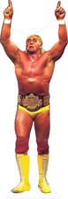 Hulk hogan tall for sale  Melville