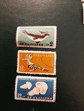 Bulgarie 1961 black d'occasion  Crêches-sur-Saône