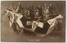 Vintage 1905 photo for sale  Pflugerville