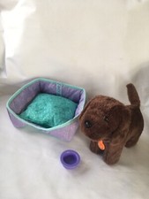 American girl dog for sale  Glen Ellyn