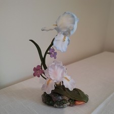 Lenox iris germanica for sale  Lake Charles