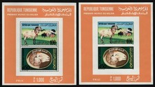 Tunesien 1990 block gebraucht kaufen  München