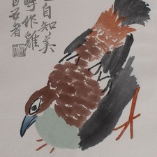 Baishi vogel tierdarstellung gebraucht kaufen  Berlin
