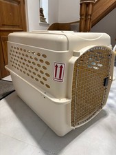 Dog medium large for sale  VIRGINIA WATER