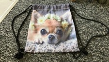 girl chihuahua for sale girl chihuahua for sale DERBY