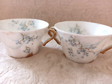Antique theodore haviland for sale  Waterloo