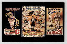 Ringling brothers barnum for sale  Florence