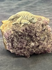 Vintage pewter manatee for sale  MAYFIELD