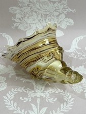 Murano glass conch for sale  BOURNEMOUTH