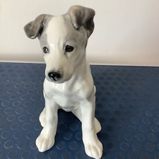 Russian dog wolfhound for sale  TELFORD
