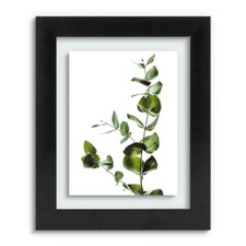 Black floating picture for sale  South San Francisco