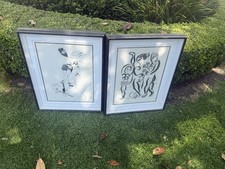 Two beautifully framed for sale  Los Angeles