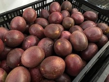 Lbs organic passion for sale  Carpinteria