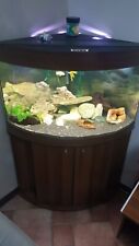 Acquario angolare accessoriato usato  Sedriano