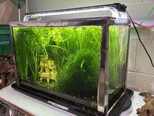 Metaframe aquarium fish for sale  Satellite Beach