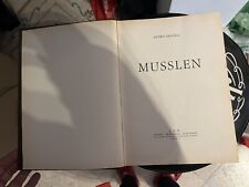 Musslen libro usato  Italia