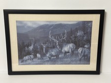 Framed elk print for sale  South Bend