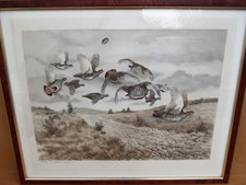 Francis berille lithographie d'occasion  France