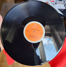 Domenico modugno fantastico usato Domenico modugno fantastico usato  Novara