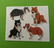 collie langhaar gebraucht kaufen collie langhaar gebraucht kaufen Kevelaer
