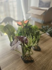 Vivarium terrarium reptile for sale  NUNEATON