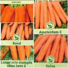 Carrot seeds easy for sale  CARSHALTON