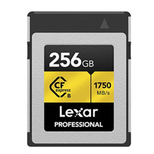 Lexar professional serie usato  Roccagloriosa
