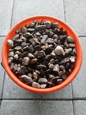 Zierkies ziersteine garten gebraucht kaufen  Kirchenlamitz