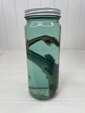 Vintage taxidermy shark for sale  Hoschton