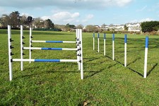 Dog agility equipment for sale  NEWTON ABBOT