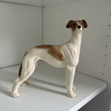 Greyhound whippet dog for sale  BIRMINGHAM