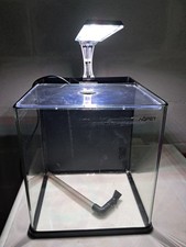 Acquario usato giorni usato  Perugia