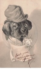 Humanize dog d'occasion  Expédié en Belgium