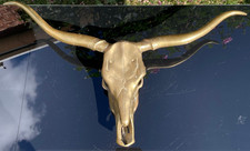 Large buffalo head for sale  SKEGNESS