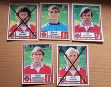 Bayern münchen panini gebraucht kaufen Bayern münchen panini gebraucht kaufen  Hamburg