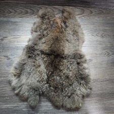 fur pelt taxidermy rabbit 1 for sale fur pelt taxidermy rabbit 1 for sale Caseyville