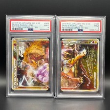 Pokemon entei raikou usato  Cesena
