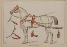 Horse single harness usato  Foligno