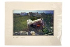 Signed vintage matted for sale  Mcminnville