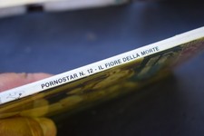 Pornostar fumetto ottime usato  Roma