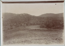 Tunisie forêt kef d'occasion  Pagny-sur-Moselle