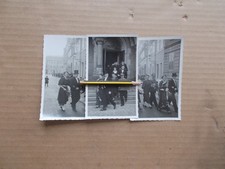 Foto parteigenosse goldfasan gebraucht kaufen  Leipzig